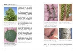FG to Trees of Britain and Europe_TEXT-LR SAMPLE 2