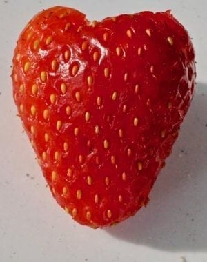 strawberry achenes accessory fruit